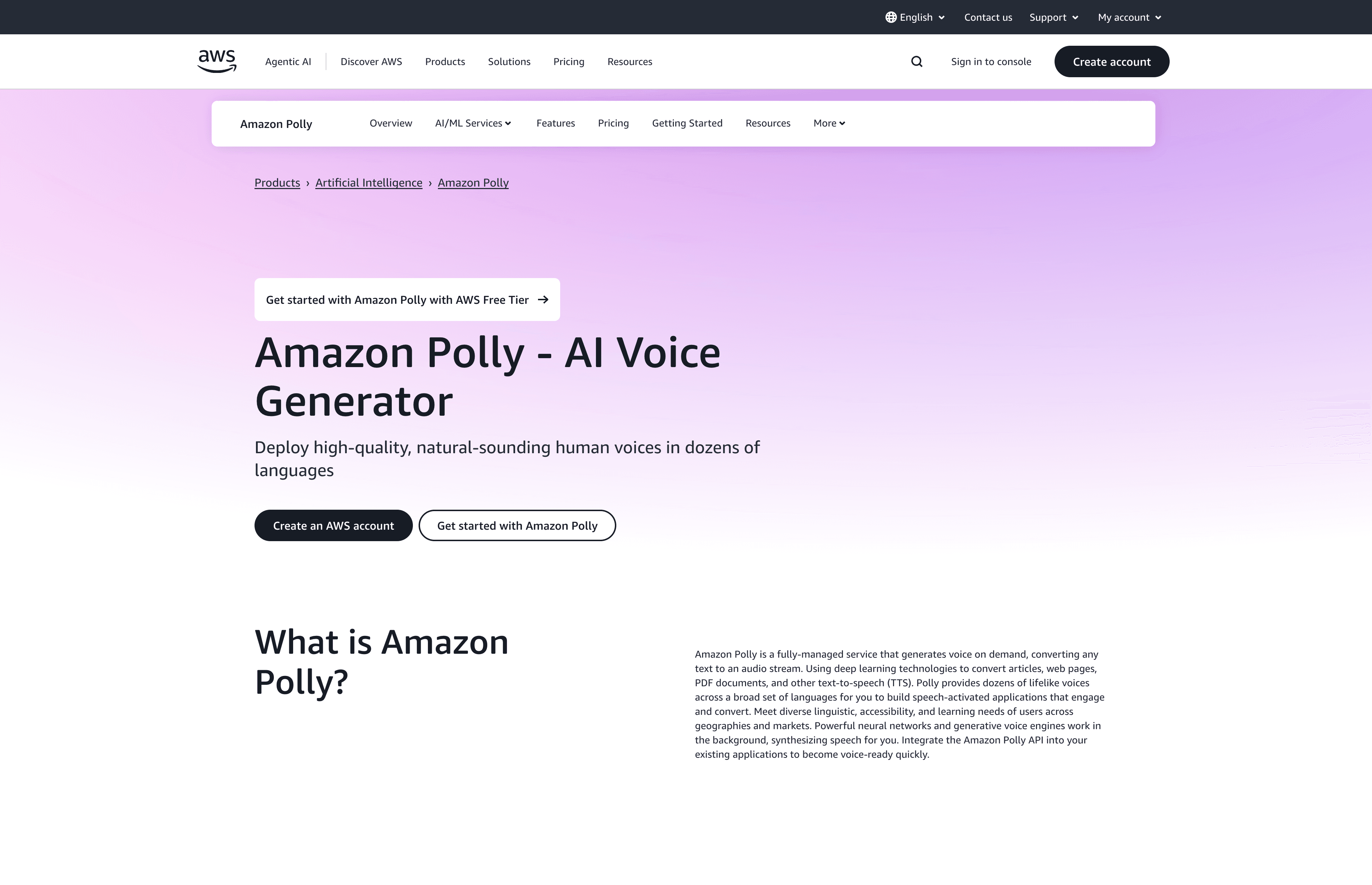 Amazon Polly screenshot