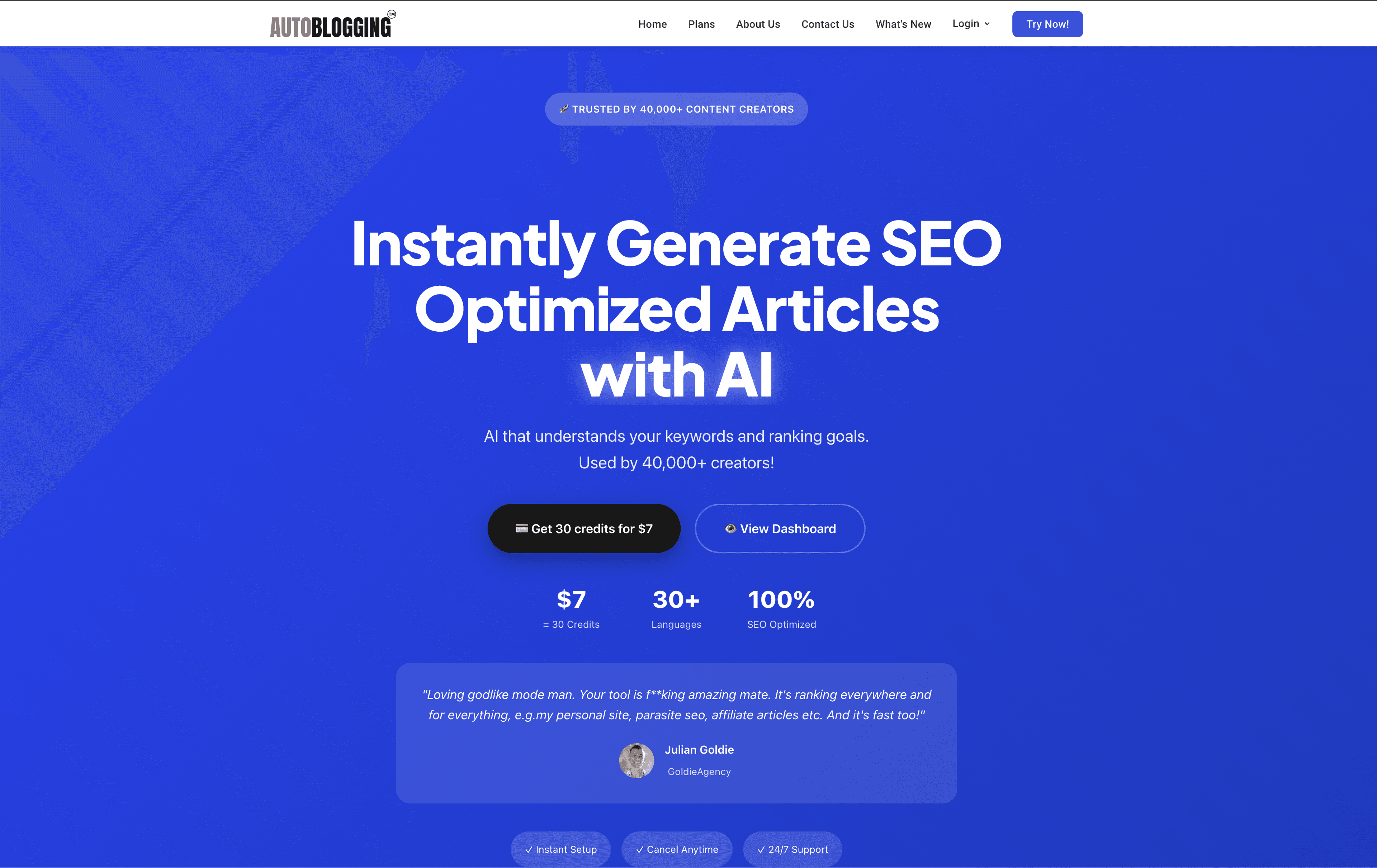 Autoblogging  screenshot