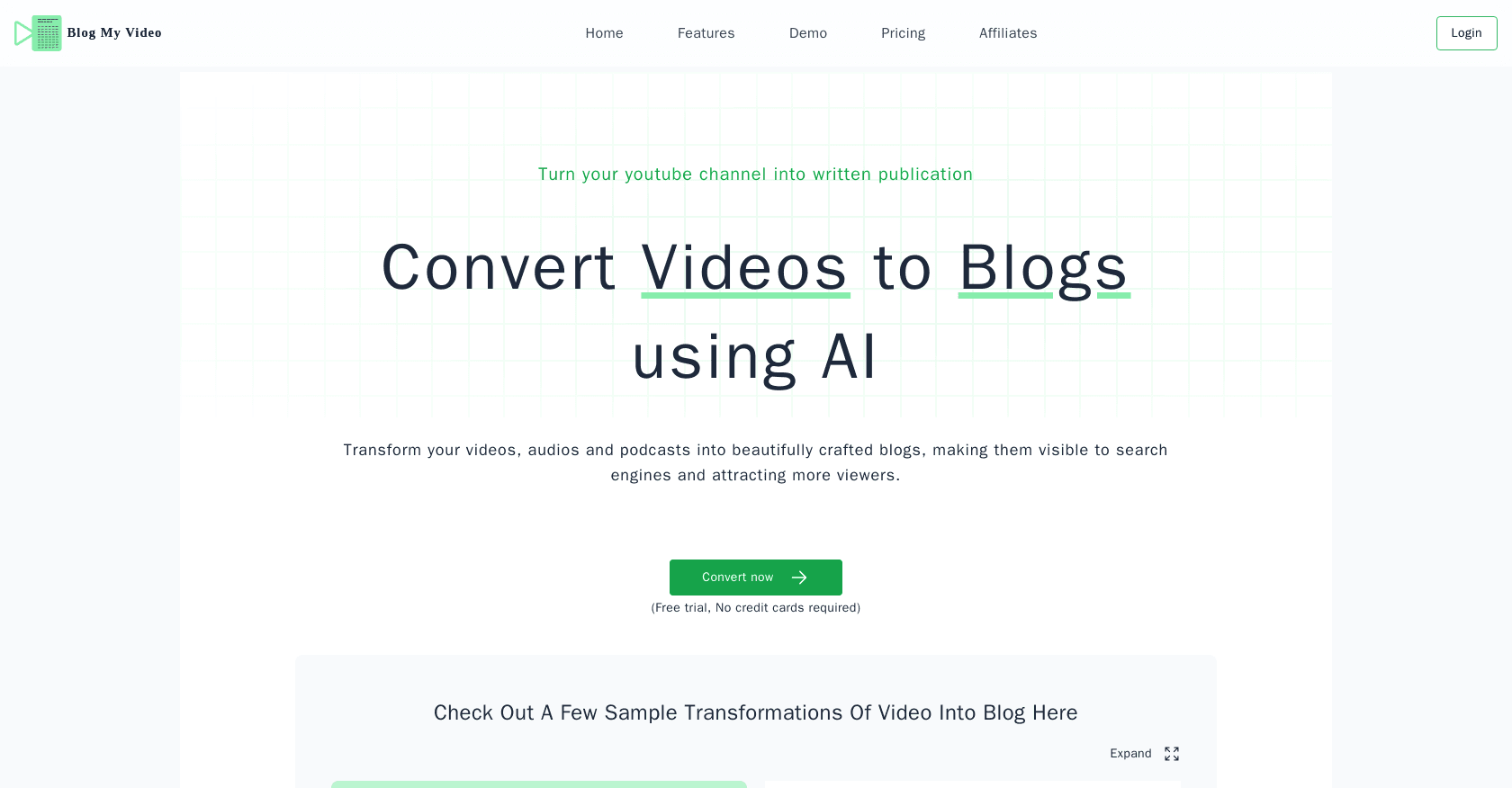 BlogMyVideo screenshot