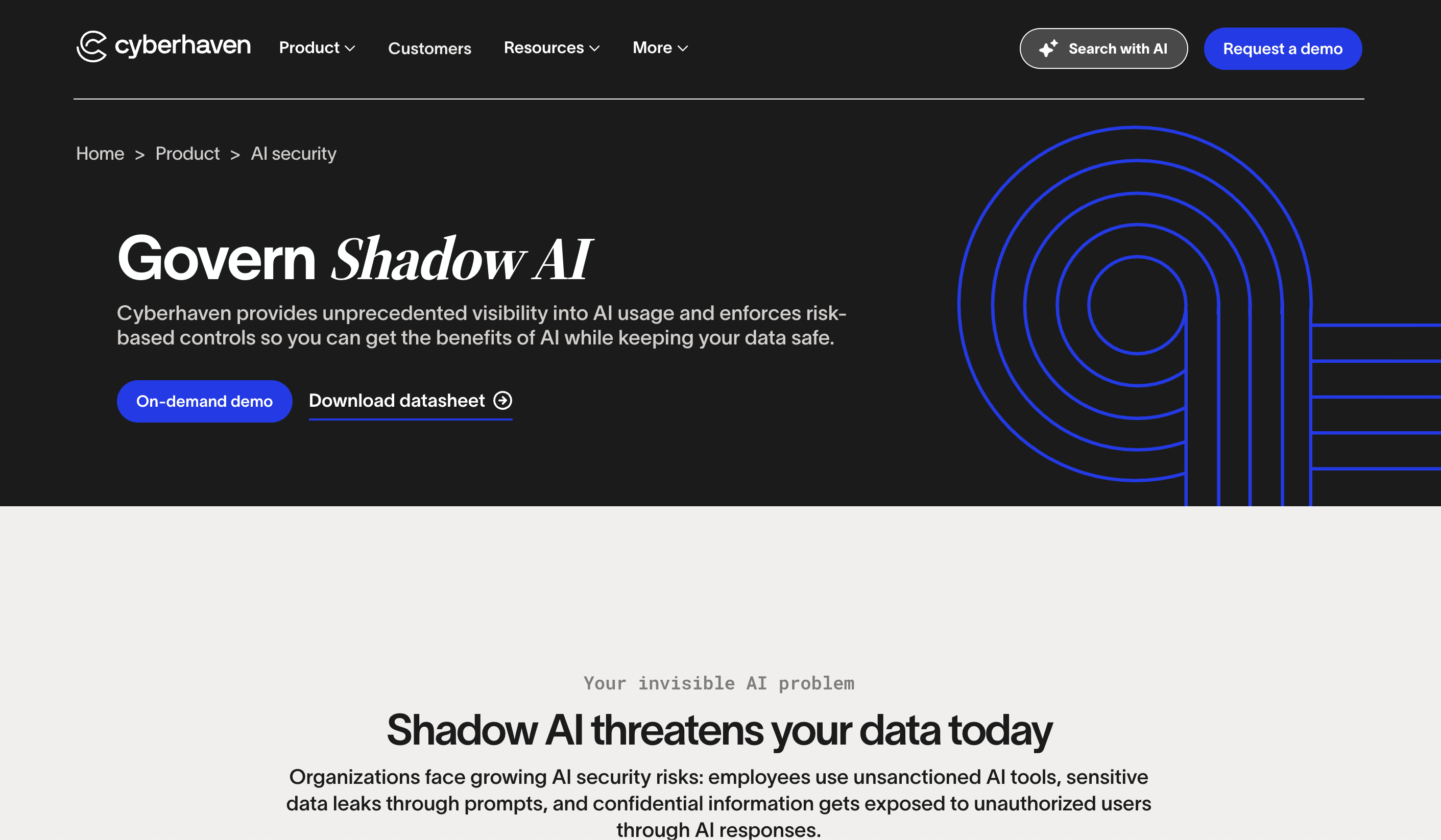 Cyberhaven screenshot