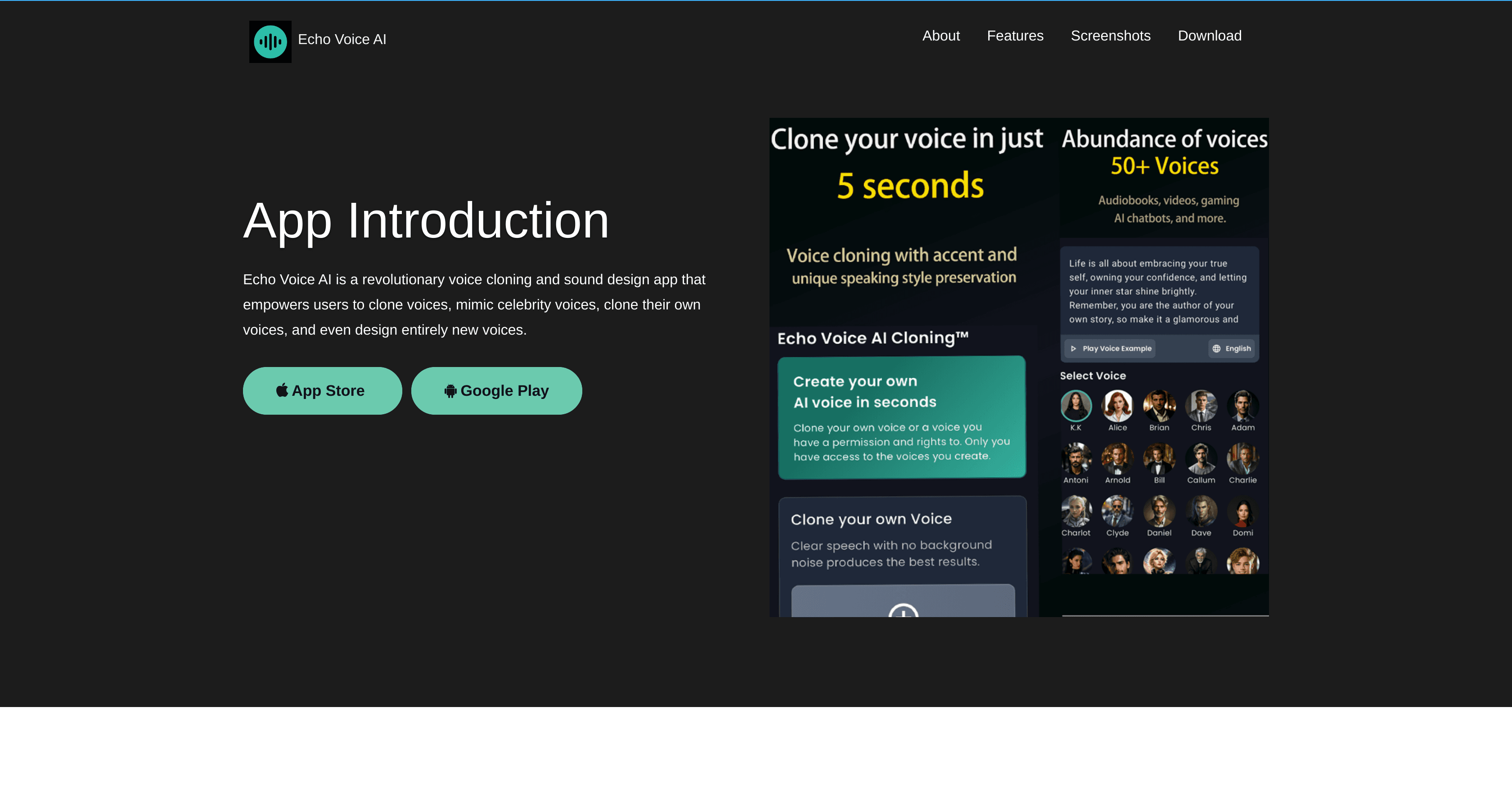 Echo Voice AI screenshot
