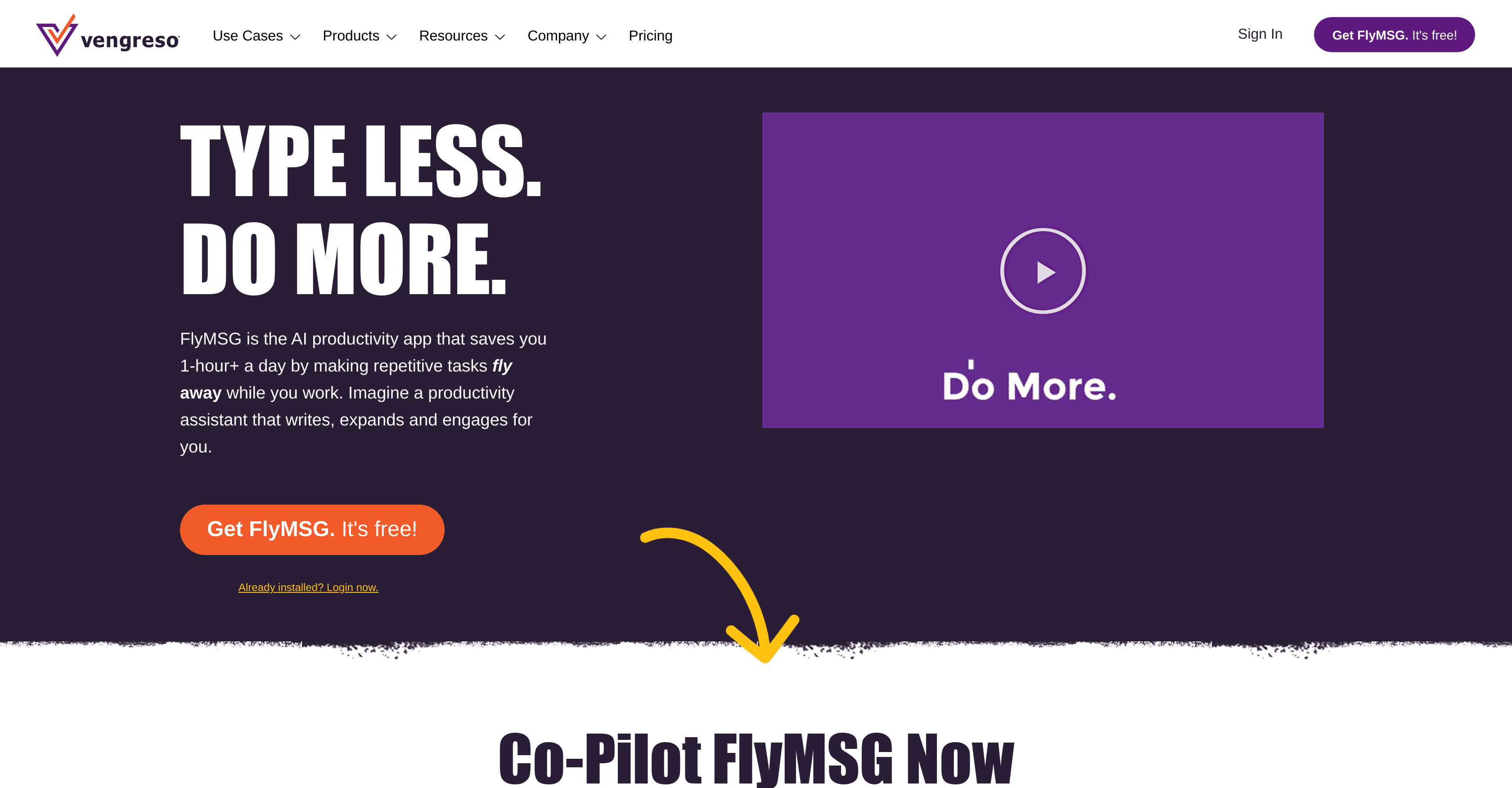 FlyMSG screenshot