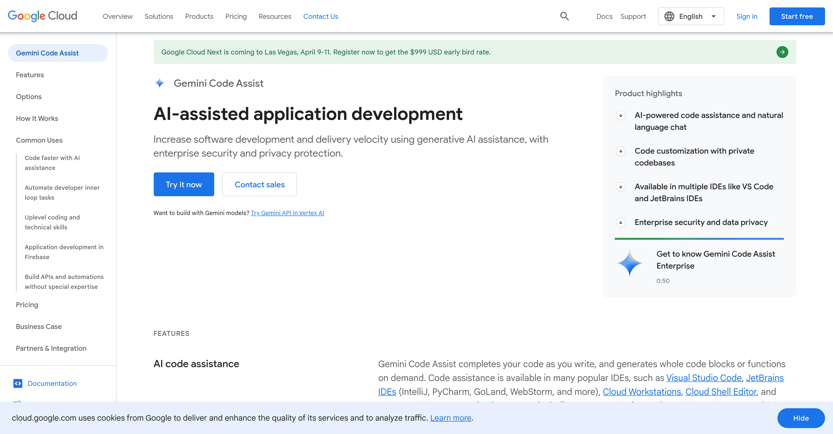 Gemini Code Assist screenshot