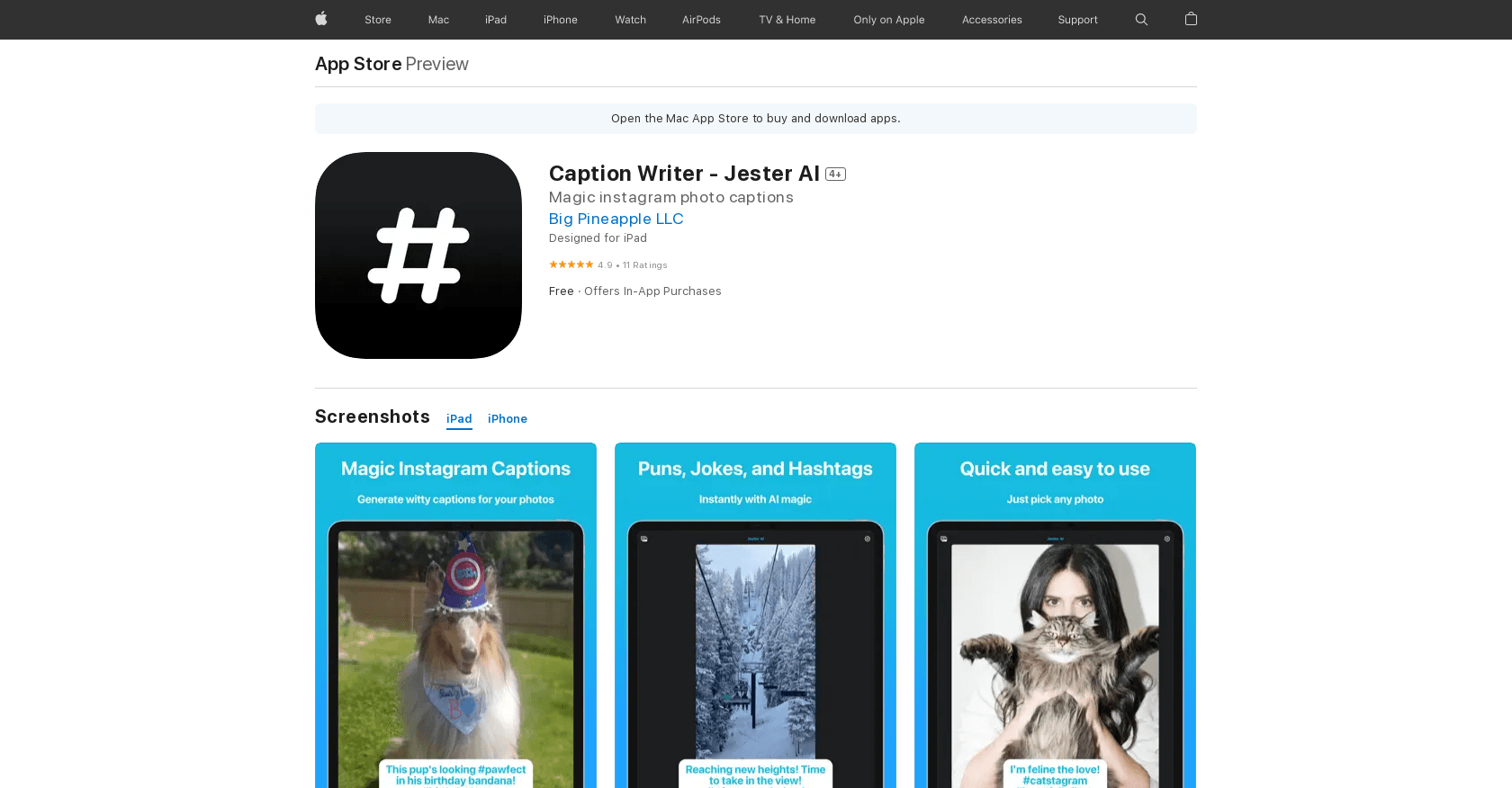 Jester AI - Caption Writer screenshot