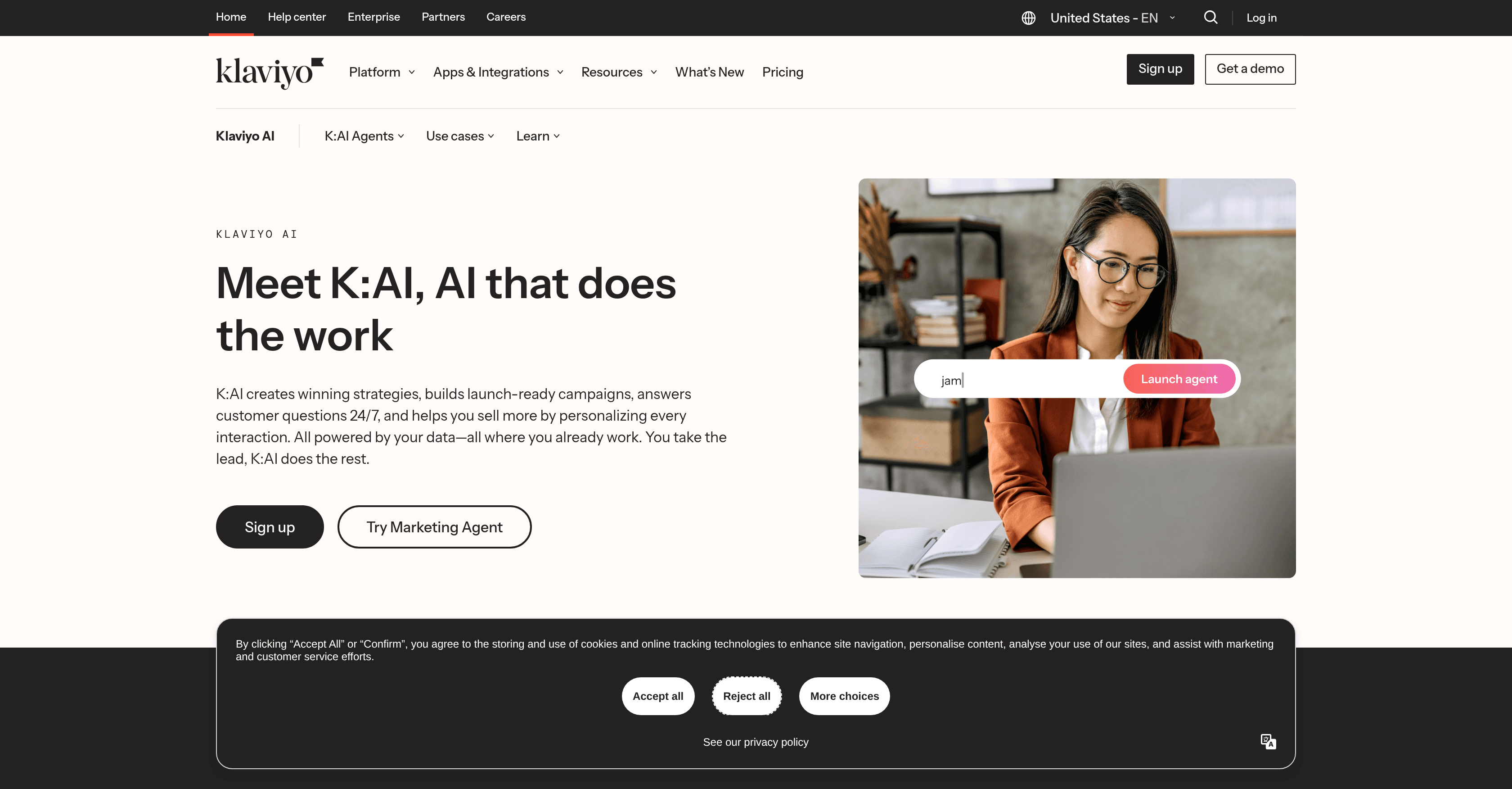 Klaviyo AI screenshot