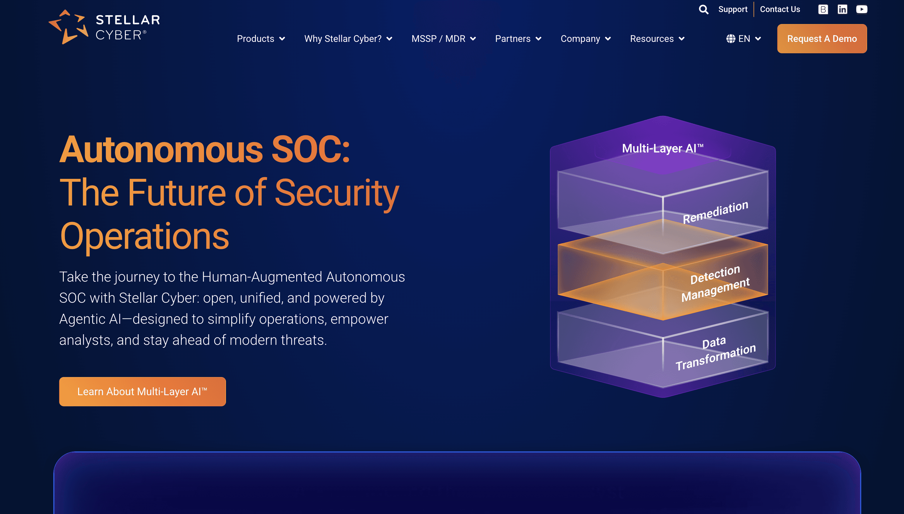 Stellar Cyber screenshot