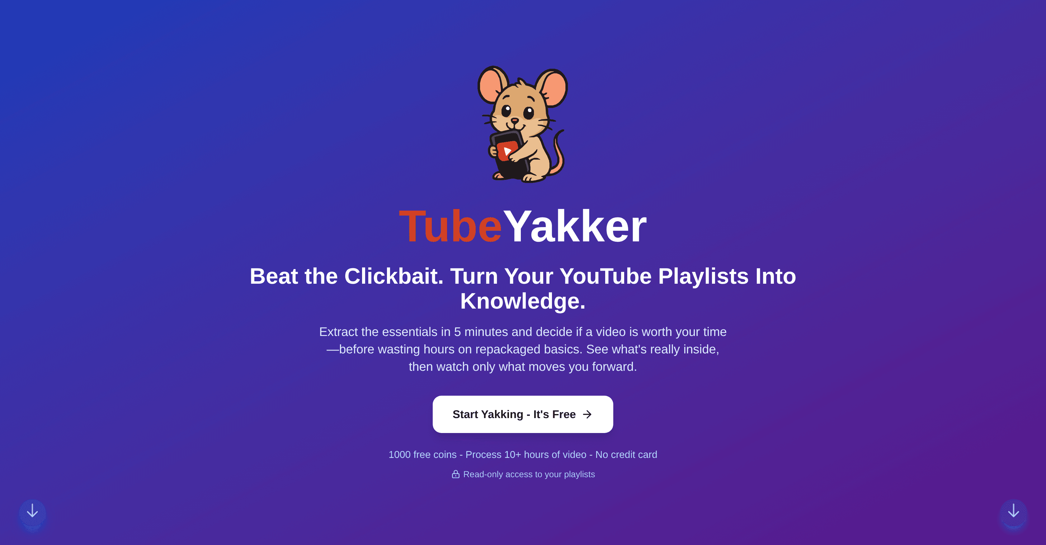 TubeYakker screenshot