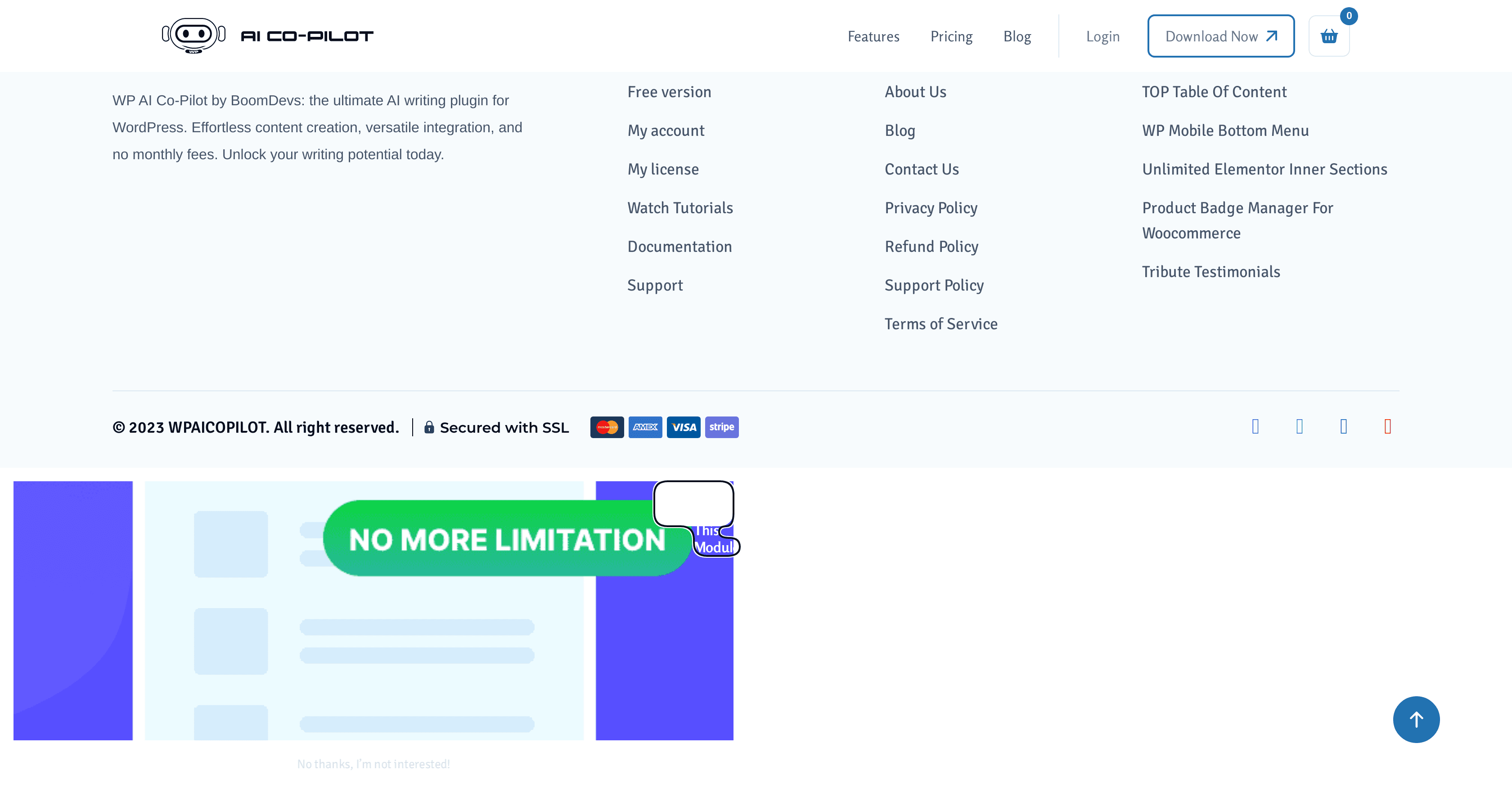 WP AI CoPilot screenshot