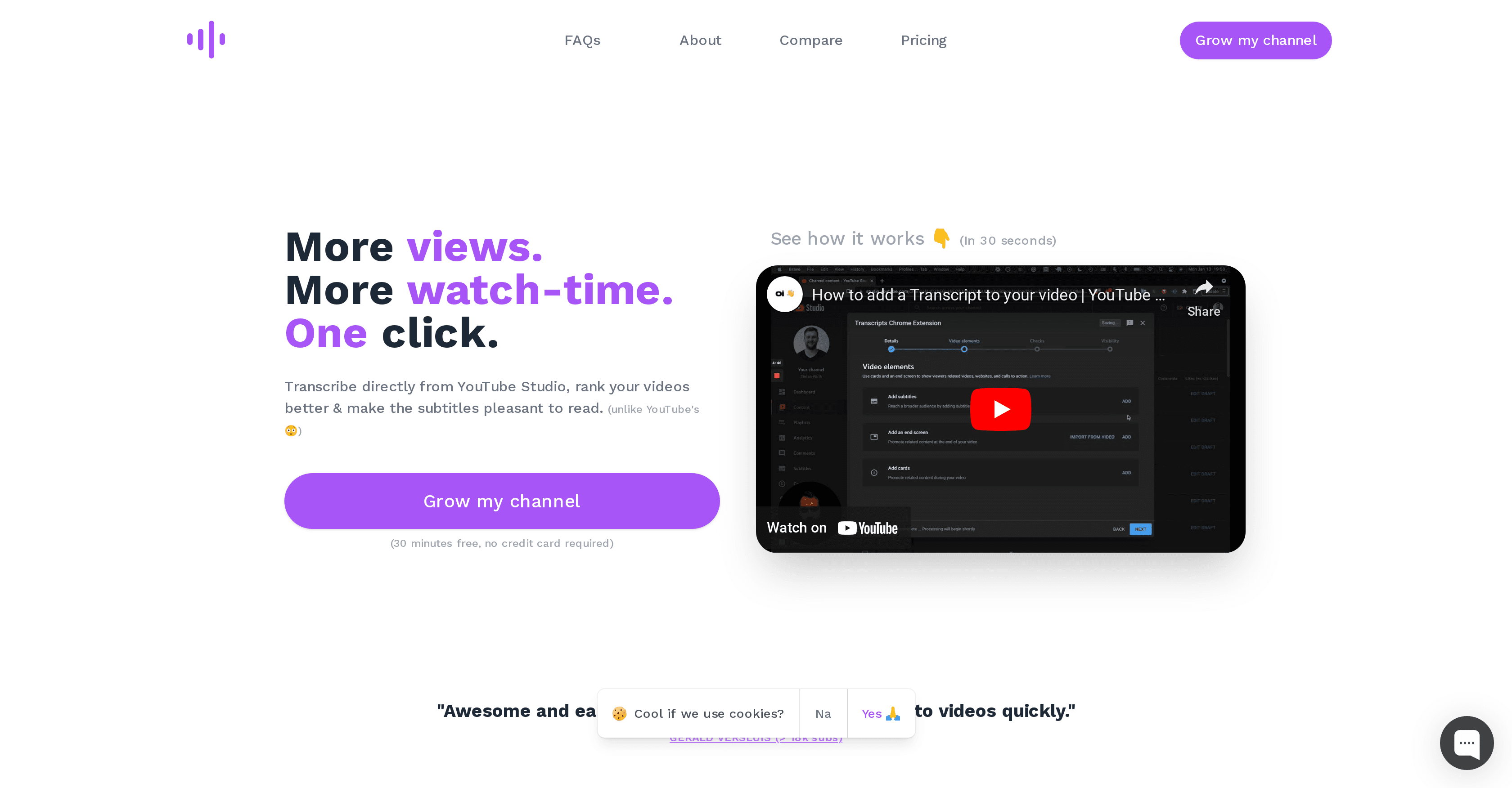 YouTube Transcripts screenshot