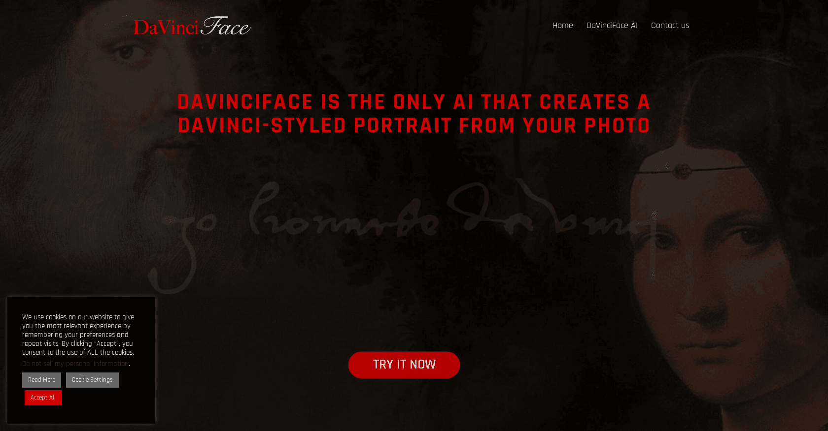 DaVinciFace screenshot